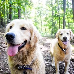 Meet your Posher, Jack